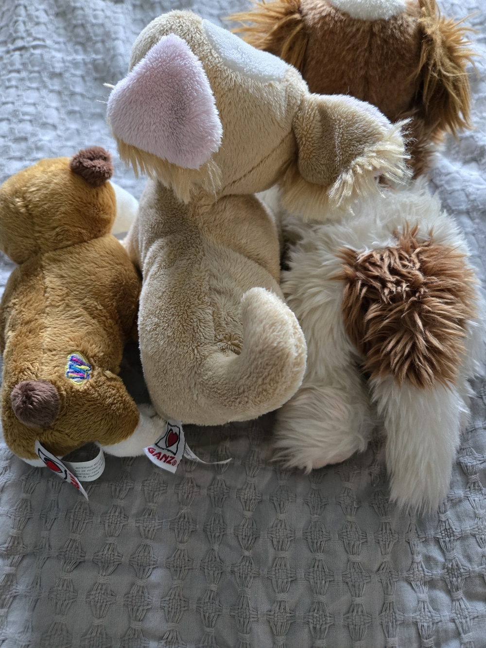 7 Lot! 🐶Aurora & Other Plush Puppy & Dog Stuffed Animal Lot - Picture 7 of 8